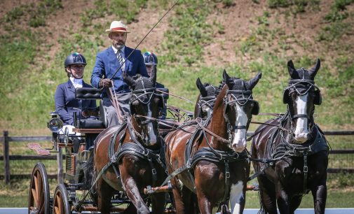 FEI World Championships 2022 Eventing and Driving