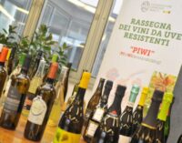 2 ^ Rassegna nazionale vini PIWI, il 9 e 10 novembre 82 etichette in gara