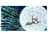 Università della Tuscia: una ricerca per potenziare gli scenari computazionali nelle nanotecnologie