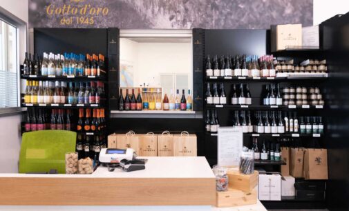 Gotto d’oro a Marino: vendita diretta di vini imbottigliati e sfusi