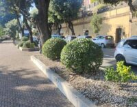 Velletri, pulizia del territorio e piantumazione su viale Roma