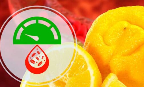 Salute: ENEA dimostra l’efficacia anticolesterolo del bergamotto