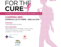 Ottobre mese della prevenzione, il 22 ottobre a Ciampino la Walk for the cure