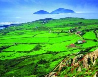 Irlanda, terra color smeraldo e appassionata di jazz
