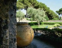 Torna la primavera nell’antica Pompei