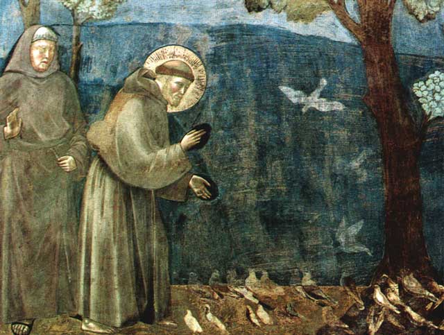 Giotto, Francesco predica agli uccelli, 1295 Basilica di Assisi