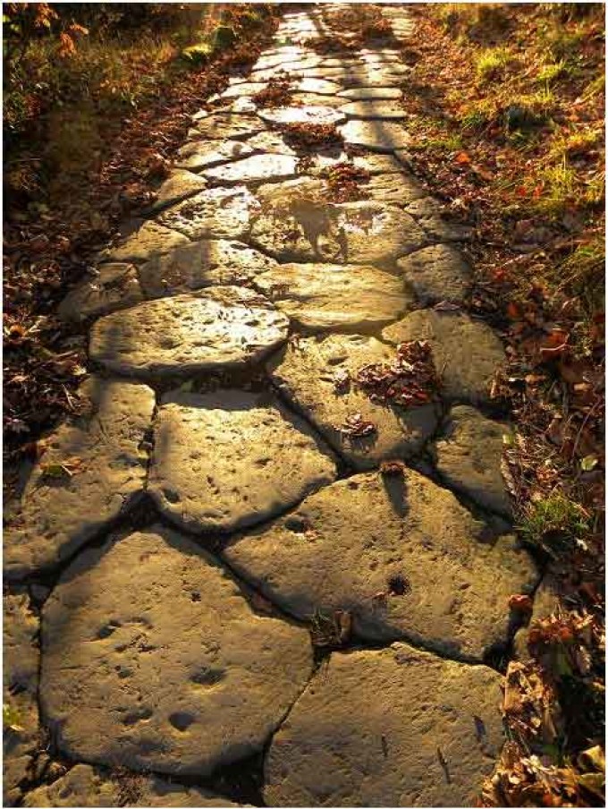 Via Sacra, nuova pulizia a cura del Parco regionale dei Castelli Romani