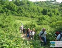 Avviso pubblico per le visite guidate al Parco del Treja