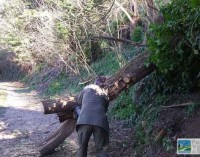 Parco del Treja – I guardiaparco liberano un sentiero da un albero caduto