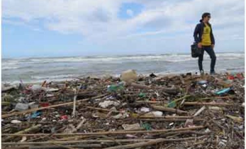 Coccia di Morto peggior Spiaggia per rifiuti e plastiche provenienti dal Tevere.