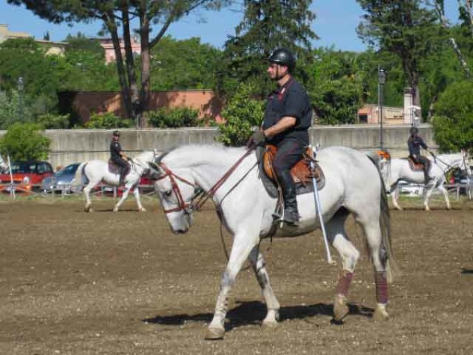 Equitazione: a Piazza di Siena torna a correre “Championesse d’Or”,