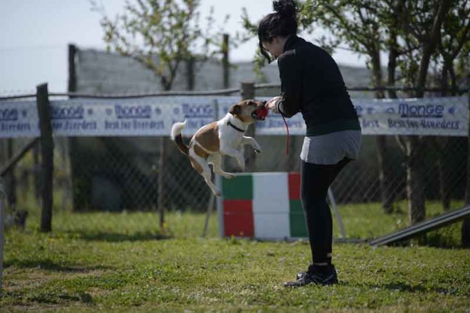Secondo raduno nazionale Jack Russel Terrier Italia
