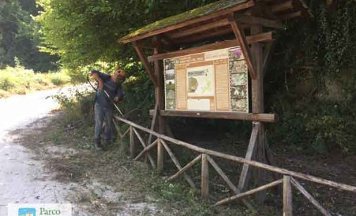 Manutenzione dei sentieri al Parco del Treja