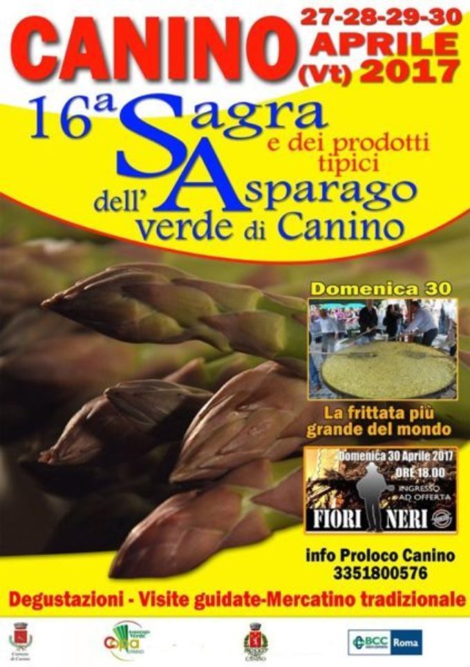 Canino (VT) festeggia l’asparago, il “mangiatutto” della Tuscia