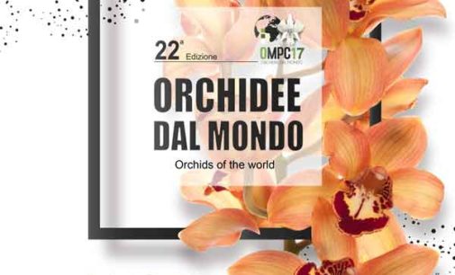 Orchidee dal Mondo 2017.  Monte Porzio Catone 21 – 22 – 23 aprile 2017