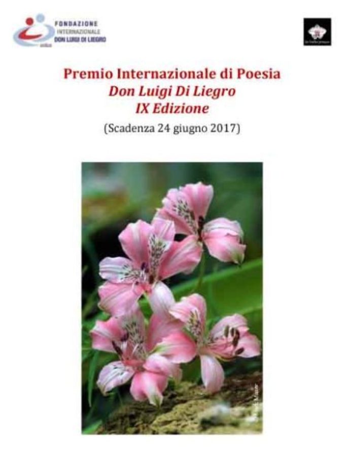 Premio Internazionale di Poesia Don Luigi Di Liegro IX Edizione