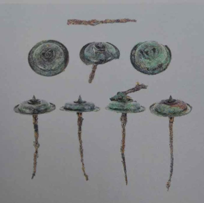Sottratta nella notte una borchia in bronzo alla Mostra Pompei e i Greci