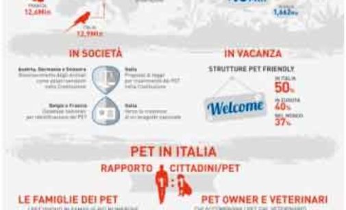 60 milioni, gli animali d’affezione nelle famiglie degli italiani