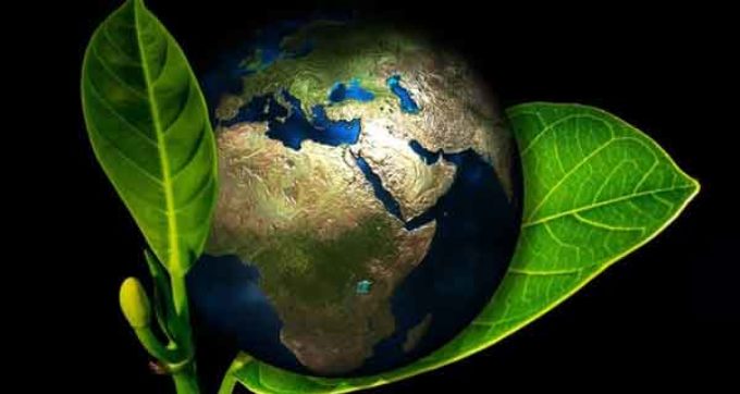 La Giornata mondiale dell’ambiente Sette miliardi di persone e un solo pianeta