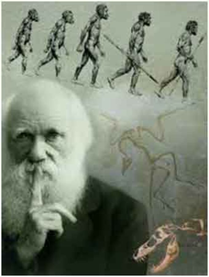 Evoluzionismo, creazionismo e la costante presenza della Coscienza nella materia