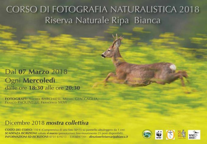 Corso di fotografia naturalistica 2018 Riserva Naturale Ripa Bianca di Jesi