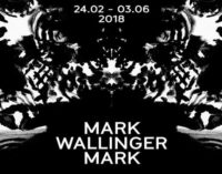 Inaugurazione della mostra  MARK WALLINGER MARK