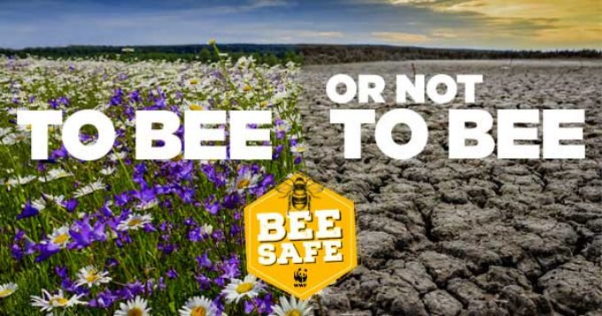 WWF lancia “bee safe”, una campagna per salvare api e altri impollinatori