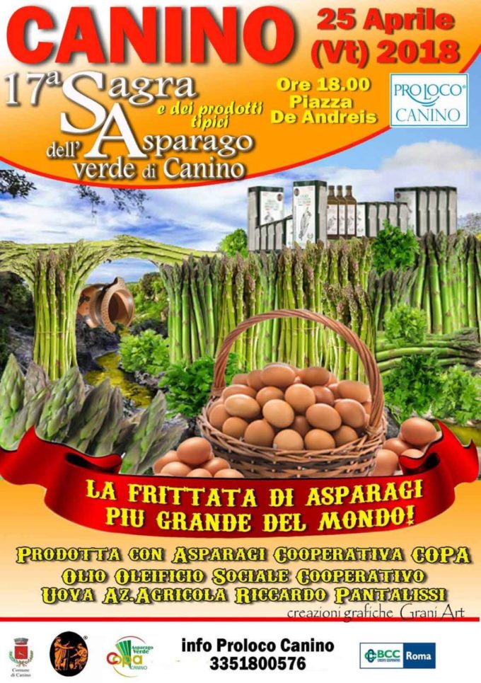 Canino (VT) in festa dal 21 al 25 aprile per l’asparago “mangiatutto”