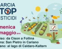 WWF Italia  Rapporto ispra pesticidi nelle acque 2018