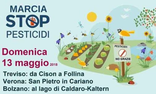 WWF Italia  Rapporto ispra pesticidi nelle acque 2018