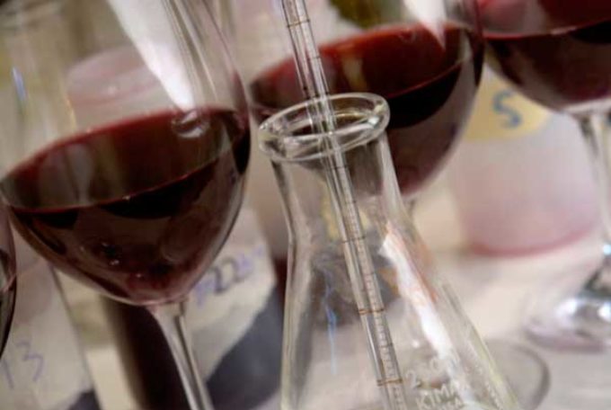 l’importanza del laboratorio scientifico nelle cantine vinicole