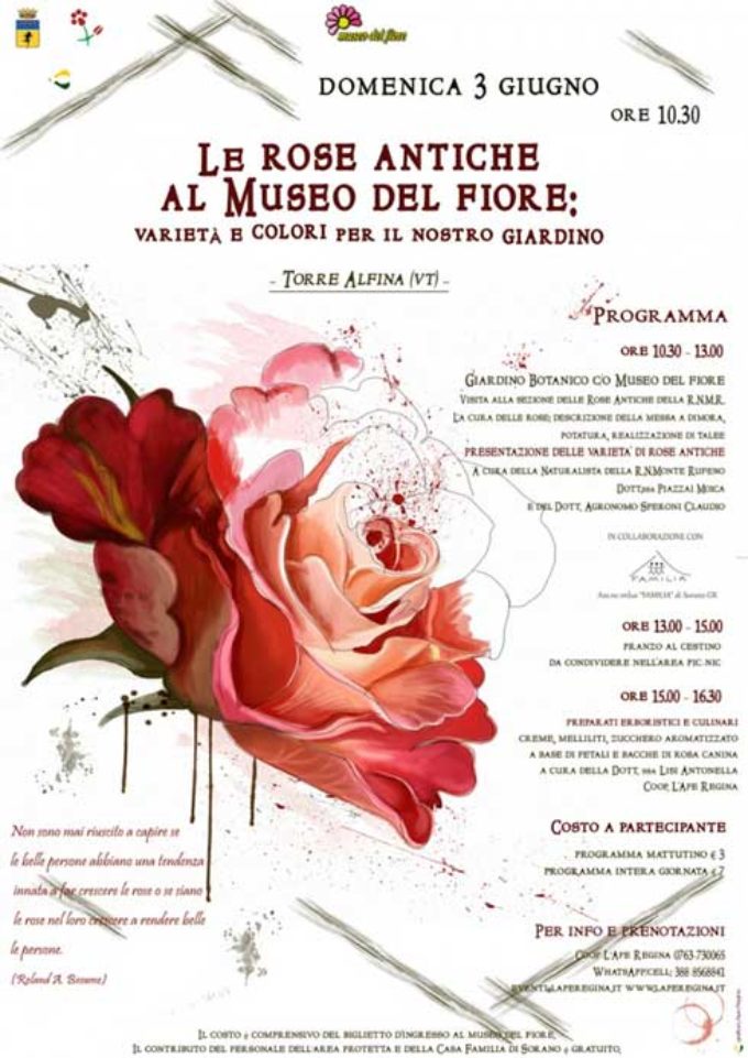 Le rose antiche al Museo del fiore: varietà e colori per il nostro giardino