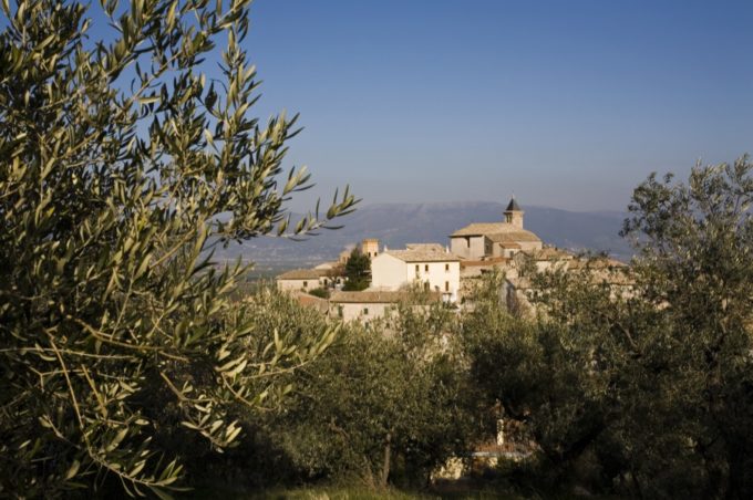 GIANO DELL’UMBRIA – 1° /5 NOVEMBRE “LA MANGIAUNTA” – 24 E 25 NOVEMBRE LA “FESTA DELLA FRASCA” – SI CELEBRANO LA PRIMA SPREMITURA DELL’OLIO EXTRAVERGINE DI OLIVA E LA “BONFINITA” DELLA RACCOLTA DELLE OLIVE