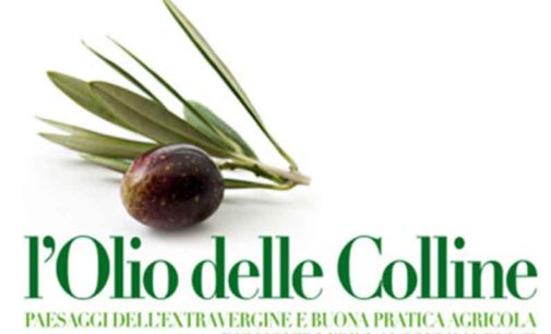 ‘L’Olio delle Colline’: aperte le iscrizioni alla XIV edizione del Concorso Provinciale