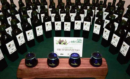 L’Olio delle Colline, bilancio dell’edizione 2019