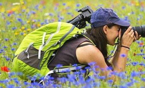 Corso pratico di fotografia della natura 2019-Parco regionale dei Castelli Romani