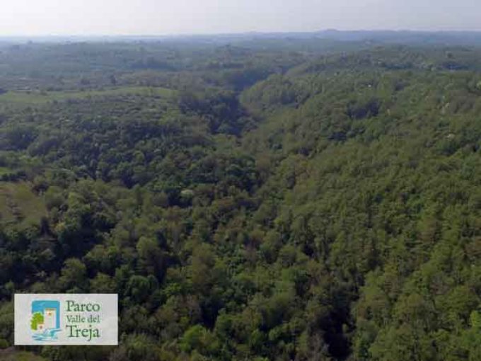 Parco Valle del Treja – Il Parco aiuta a mitigare le emissioni di CO2