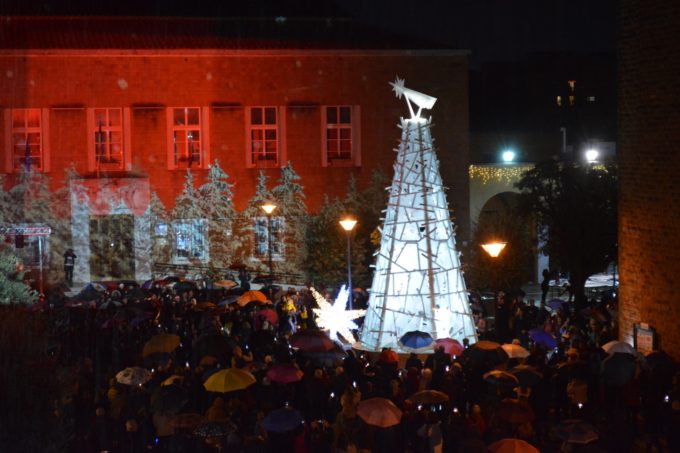 Natale d’Amore, Pomezia accende i suoi alberi