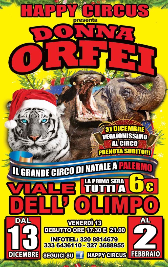“Dal trapezio alla donna laser: è a Palermo il circo Happy Circus Donna Orfei”