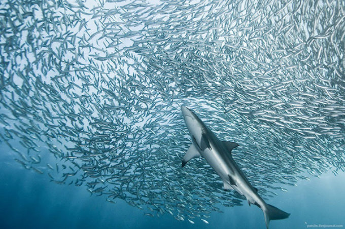 2020: la politica delle cose. Le Sardine, il lavoro, il territorio, il nostro sguardo di cittadini…