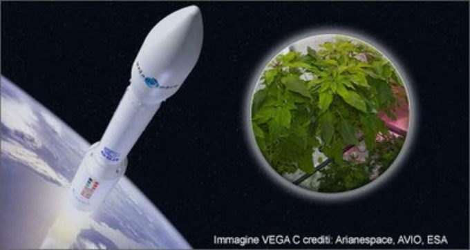nnovazione: è made in Italy il primo micro-orto in orbita per coltivare verdure nello spazio