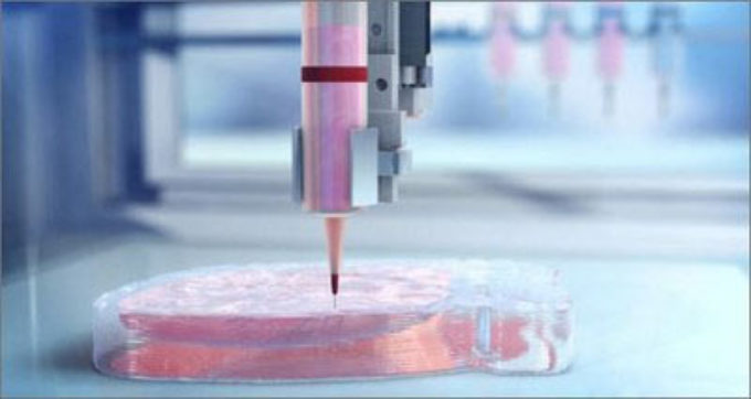 Innovazione: dalla stampa in 3D screening più rapidi per farmaci oncologici mirati