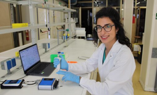 Società Chimica Italiana e Elsevier premiano la giovane ricercatrice Lorena Baranda Pellejero dell’Università degli studi di Roma