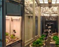Innovazione: sistemi di illuminazione OLED per l’agricoltura del futuro