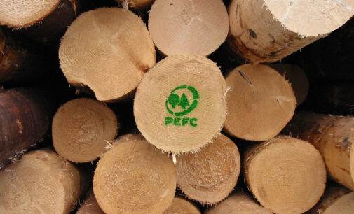 Rapporto PEFC: aumentano foreste gestite in modo sostenibile in Italia