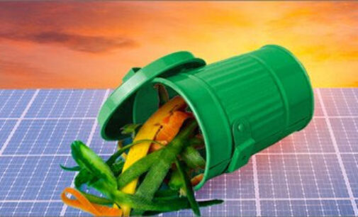Economia circolare: ENEA brevetta innovativa compostiera domestica per gestire i rifiuti organici