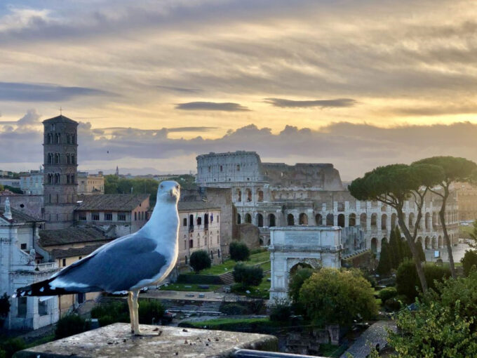 Il Parco archeologico del Colosseo presenta il “Parco Green”