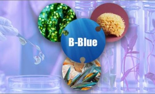 Ambiente: mare, Italia nel progetto da 1,5 milioni di euro per l’hub delle ‘biotecnologie blu’