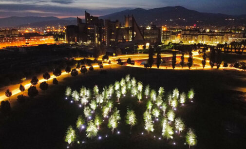 La Stella di Dante | un’installazione ambientale “vivente” donata a Firenze per celebrare il Sommo Poeta