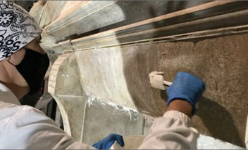 Arte: dall'”archivio” ENEA tre batteri per il restauro delle opere di Michelangelo